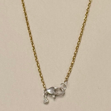 Linked by Heart Two-Tone Necklace